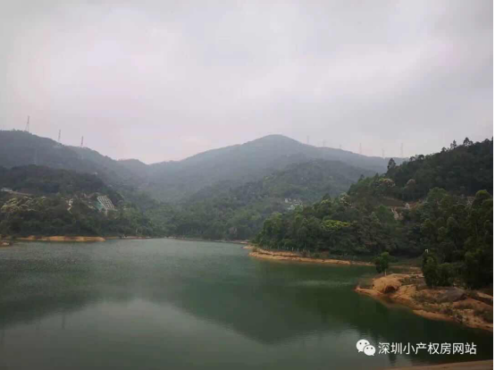 山水綠園一房一廳56平方，56.8萬/套起