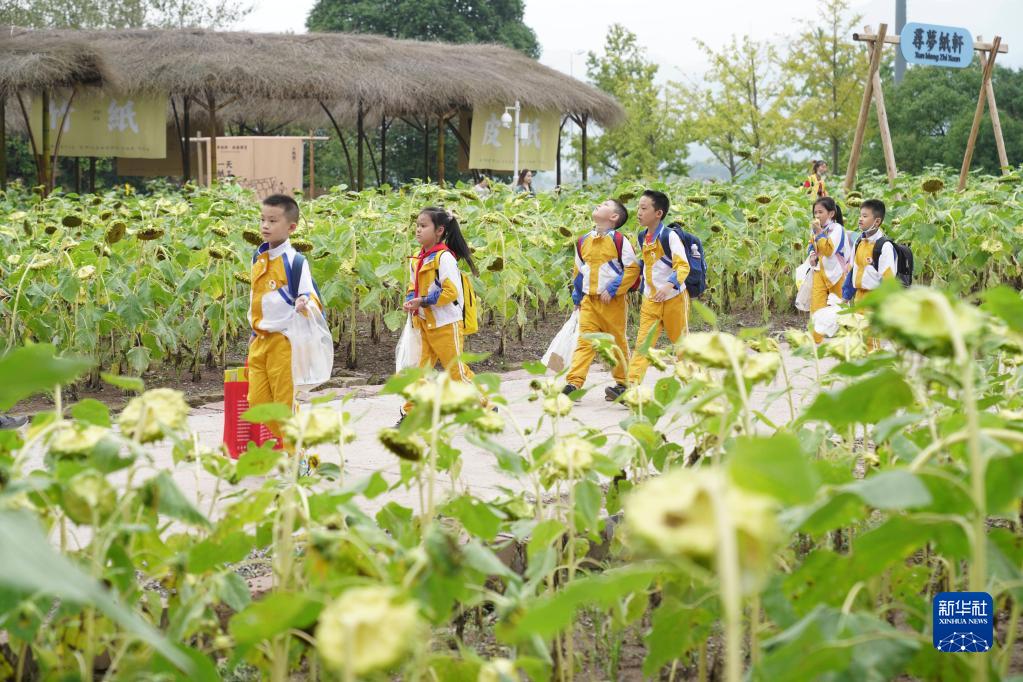 專訪中國(guó)近代波瀾壯闊的外交史